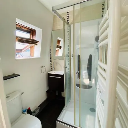 Cosy Duplex Centre Parking Gratuit דירה *