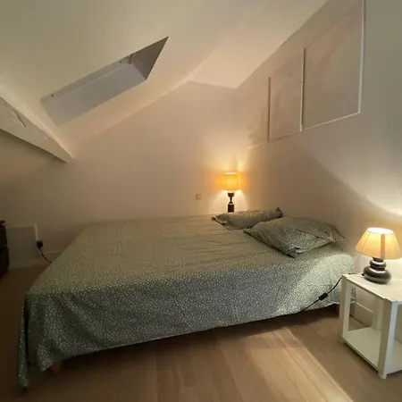 Cosy Duplex Centre Parking Gratuit 아파트 *